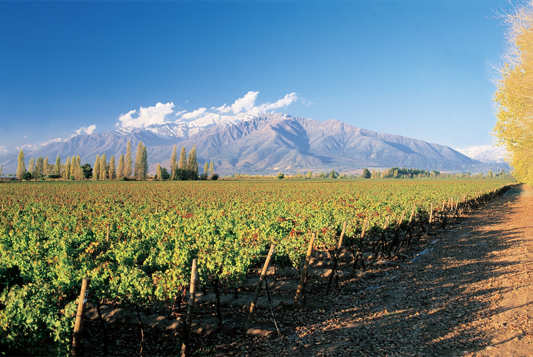 route des vins chili