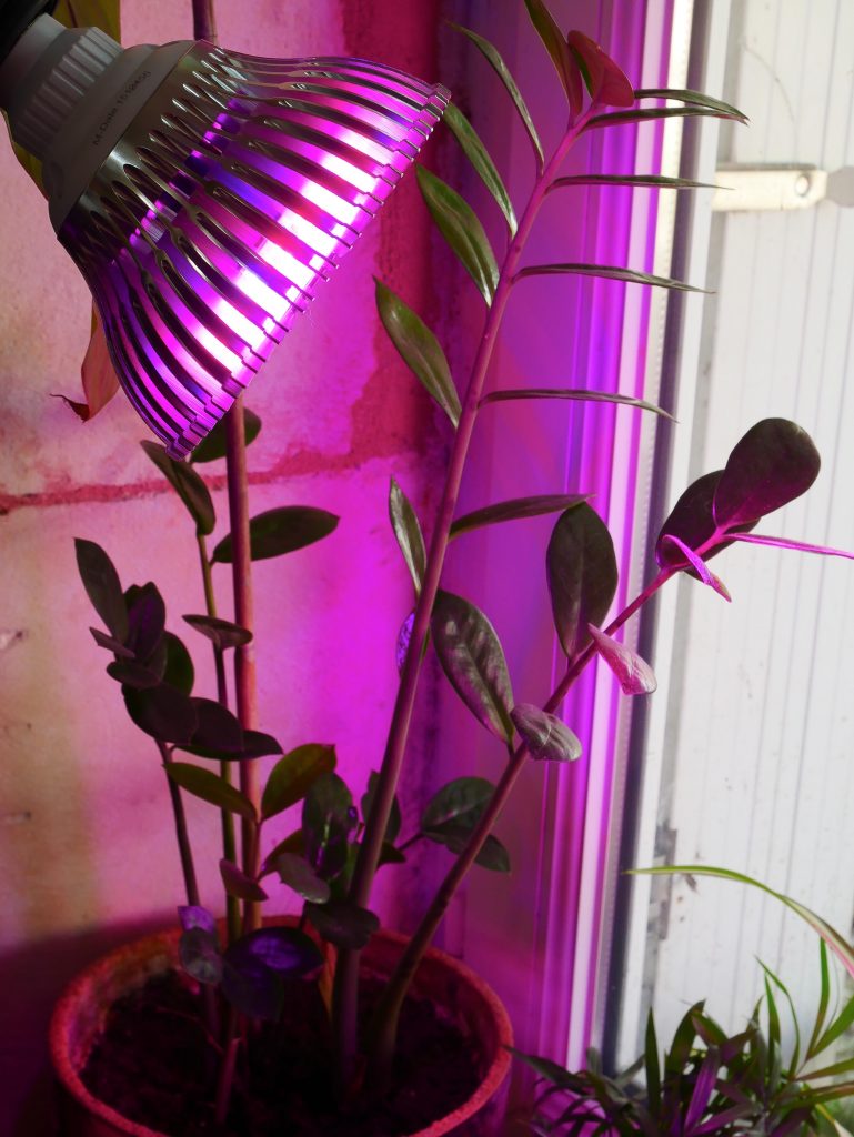 lampe LED pour plantes d'intérieures