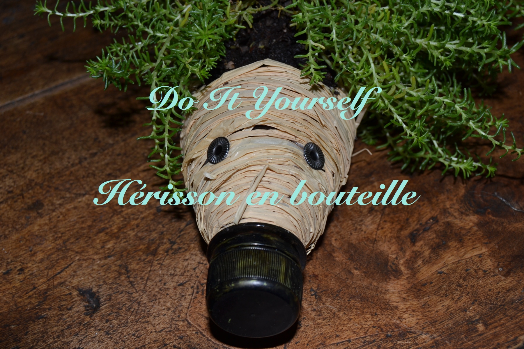 You are currently viewing DIY pour créer votre hérisson en bouteille